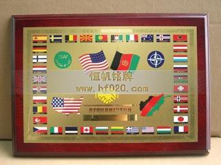 國(guó)際安全援助部隊(duì)