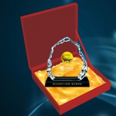 2015年1月：中科院/國云科技股份公司年會純金紀念章定制