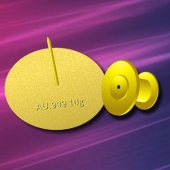 2015年3月定制　中經萬達金銀純金胸章定制、制作純金胸章