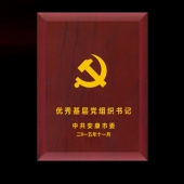 2015年10月設計制作　安康市委表彰優(yōu)秀共產(chǎn)黨員功勛章設計制作