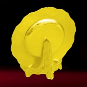 2016年6月定制　安康市漢濱區(qū)優(yōu)秀黨務(wù)工作者獎牌錫盤擺件