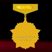 2016年6月制作　中共漢濱區(qū)委優(yōu)秀黨務工作者勛章制作